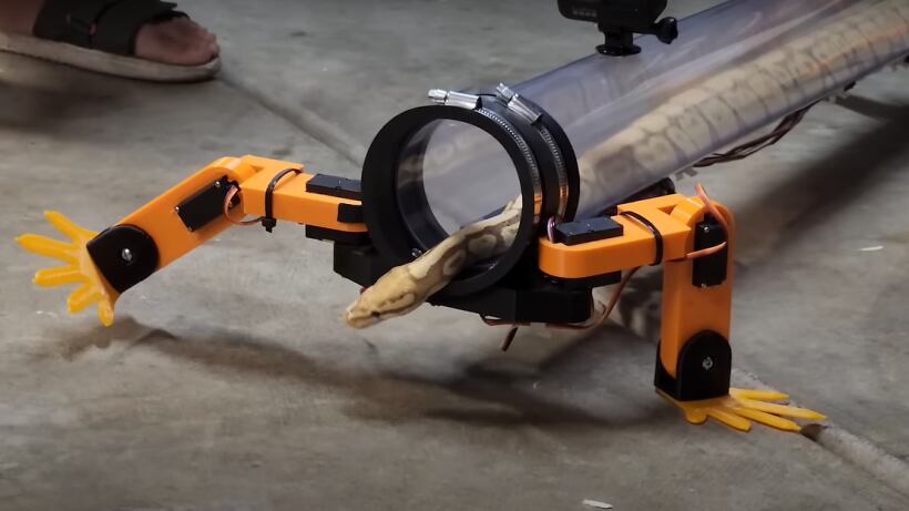 Un video viral tan perturbador como fascinante: alguien tuvo la idea de darle un exoesqueleto con patas a una serpiente.