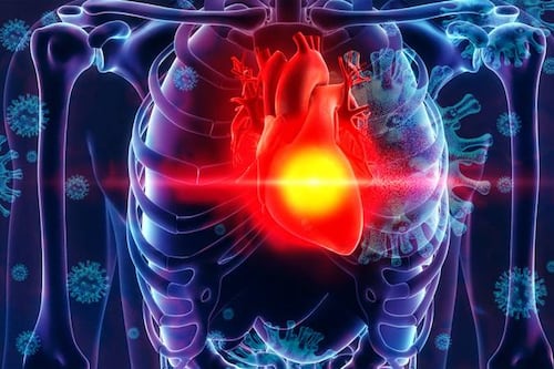 Las bacterias de tu estómago hacen que tu corazón esté saludable