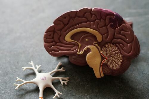 ¿Quieres ser tan productivo como Bill Gates? Este es su truco diario para tener un cerebro “en forma”