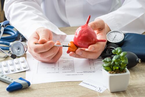 Adiós a la incertidumbre: Conoce a ‘Adán’, la primera IA chilena que te orienta gratis sobre el cáncer de próstata