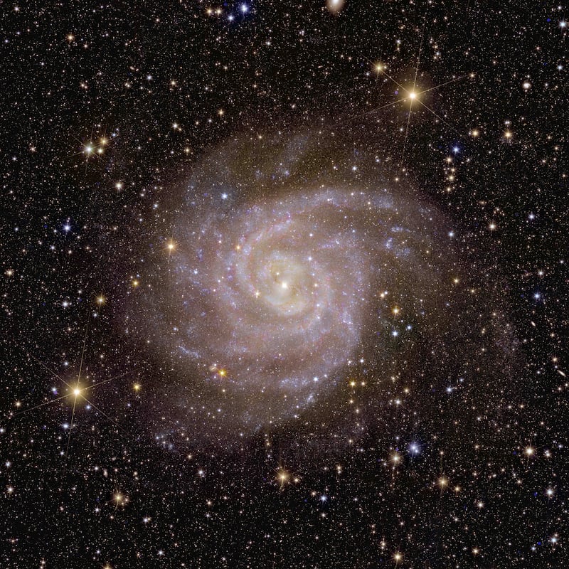 Euclid’s view of spiral galaxy IC 342. Fuente: ESA