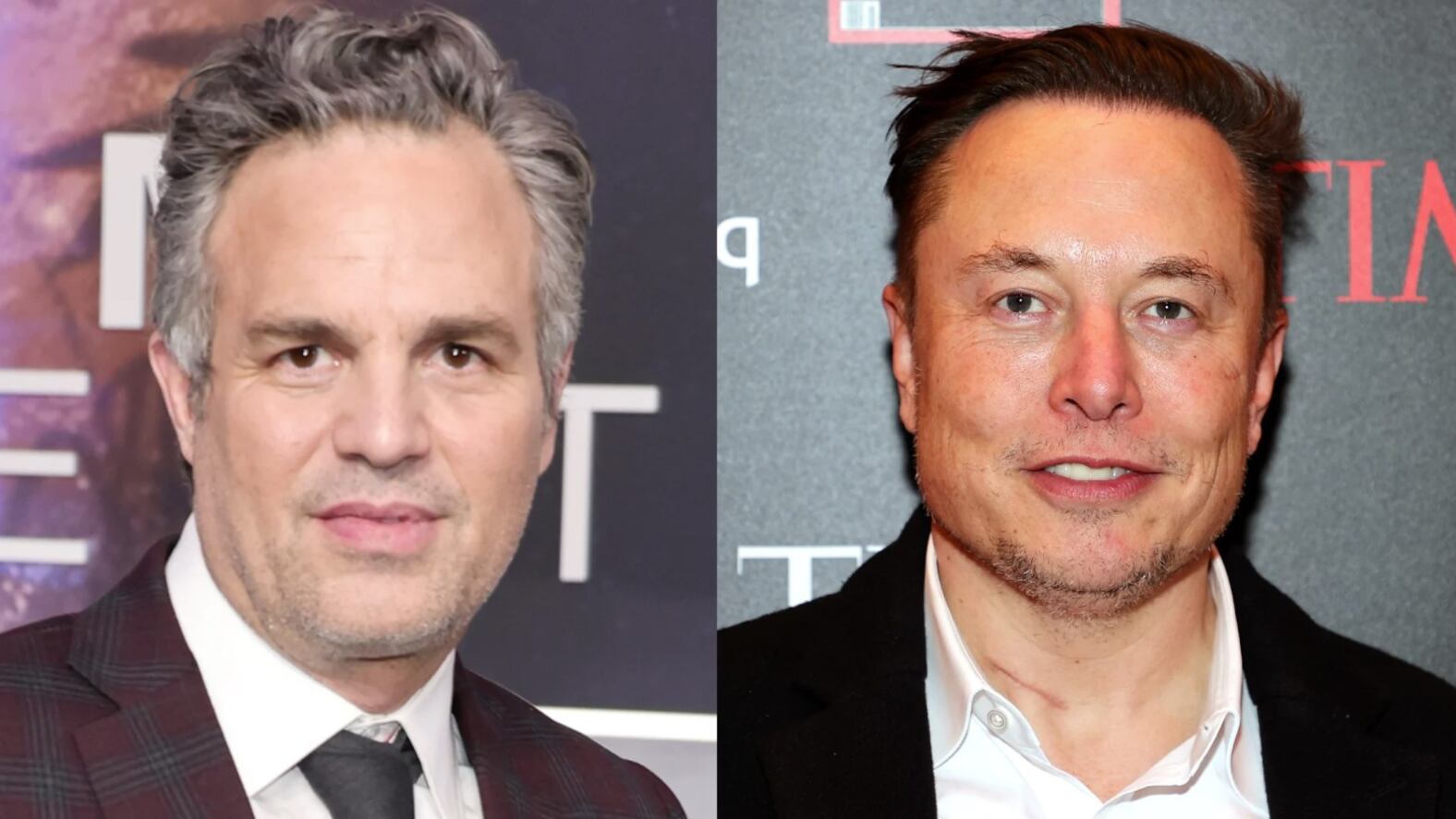 Mark Ruffalo / Elon Musk