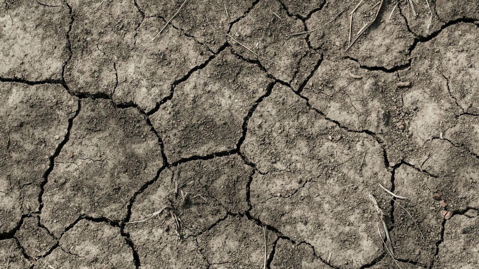 Calentamiento global