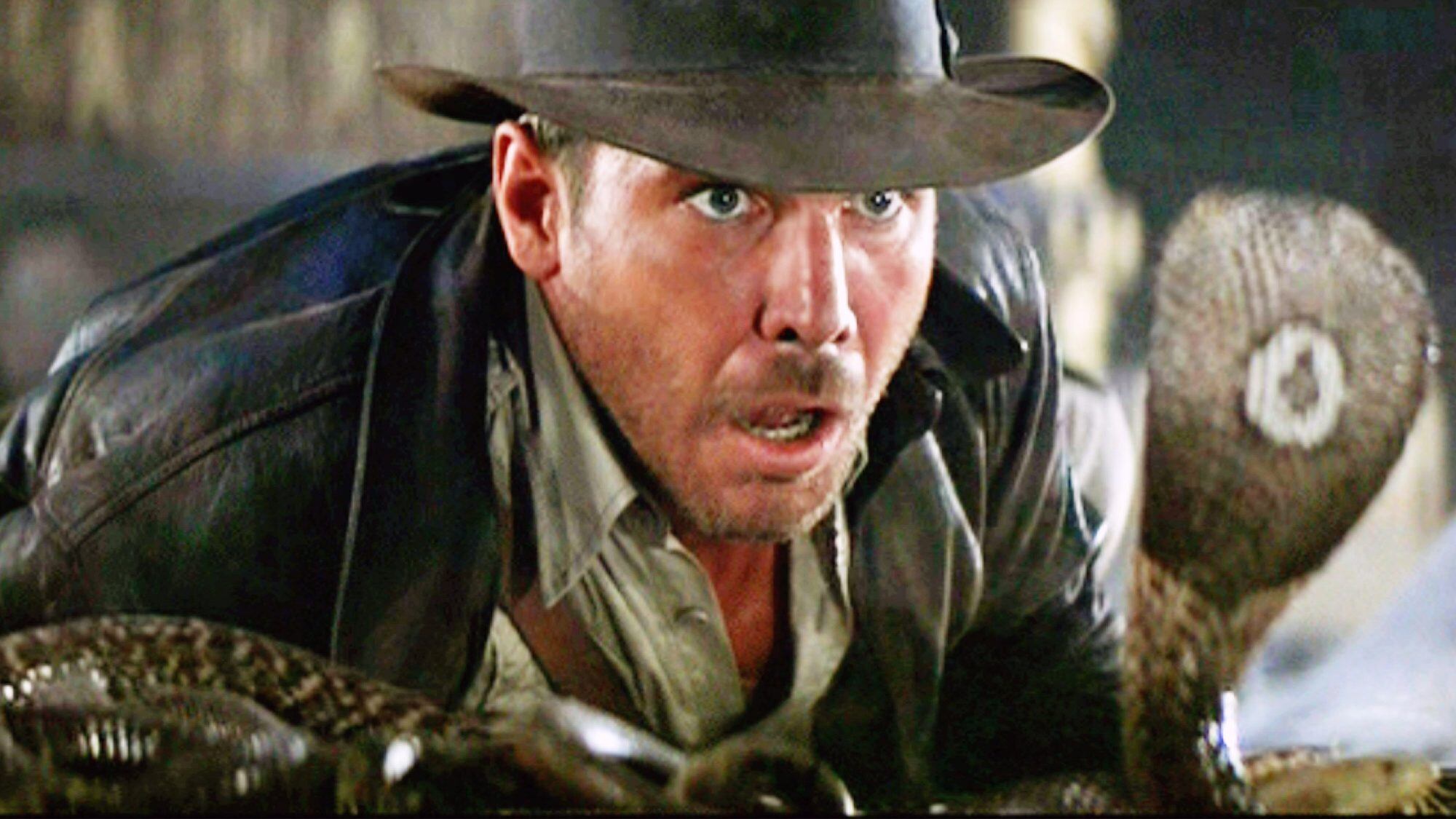 Tachymenoides harrisonfordi: así es la serpiente en honor a Indiana Jones y Harrison Ford