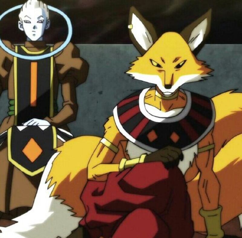 El Dios de la Destrucción Liquir Universo 8