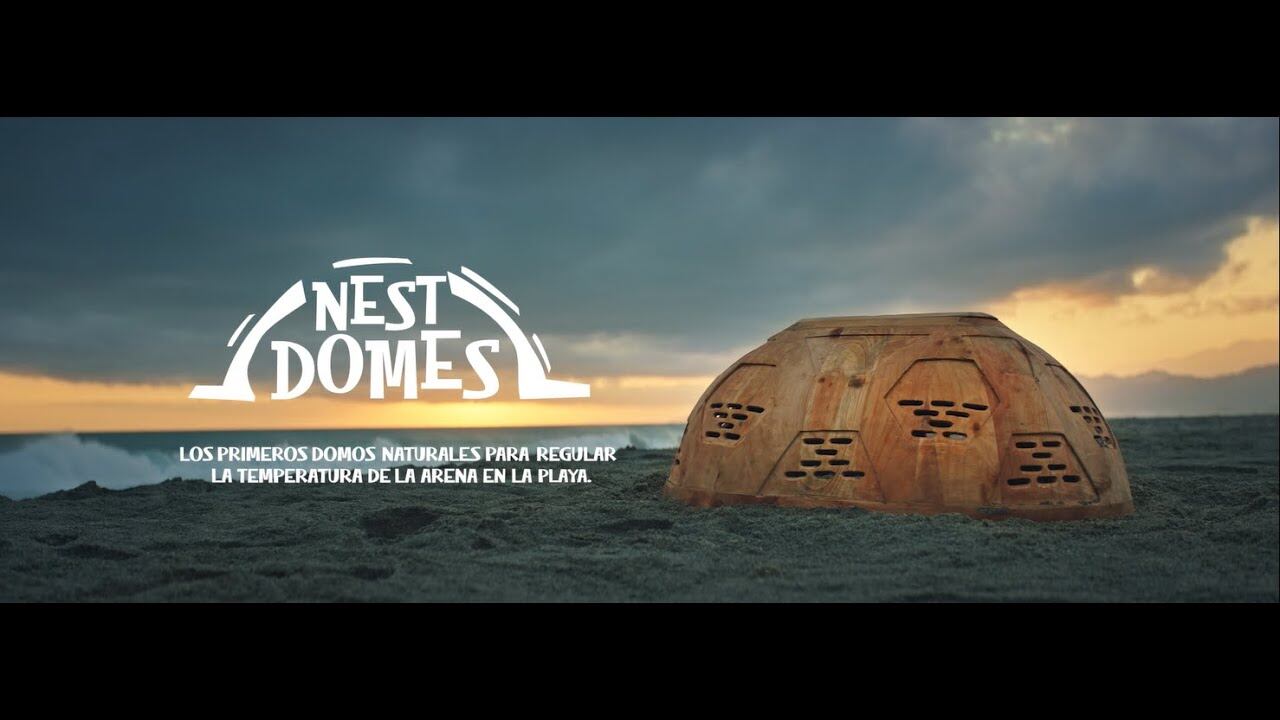 Nest Domes