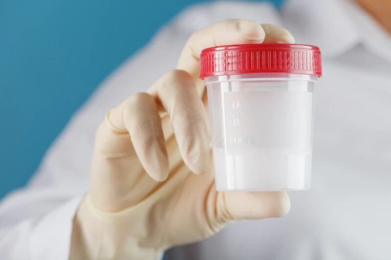 La Inteligencia Artificial y su aplicación ayudará en la selección espermática, mejorando la fertilidad.