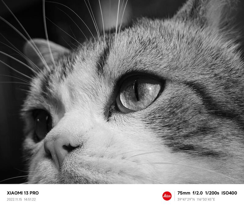 Leica se reafirma como socio fotográfico del fabricante chino y muestran las fotos que se pueden lograr con el Xiaomi 13 y Xiaomi 13 Pro.