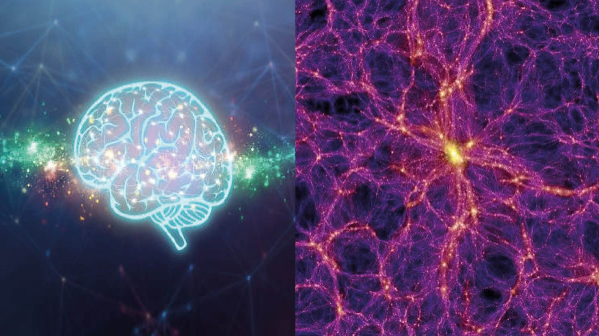 Nueva teoría afirma que el universo podría parecerse a un ser vivo, esto dicen los investigadores