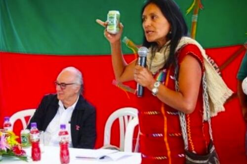 Fabiola Piñacué, la indígena que venció a Coca Cola en los juzgados por su empresa Coca Nasa