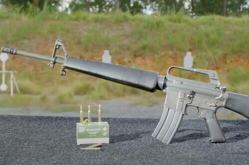 Ataque a Donald Trump: el nivel de daño que puede ocasionar un rifle AR-15, explicado por la ciencia