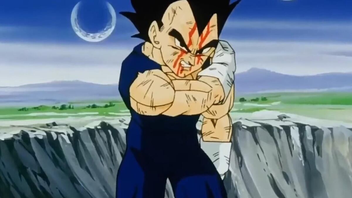 Vegeta Dragon Ball Z