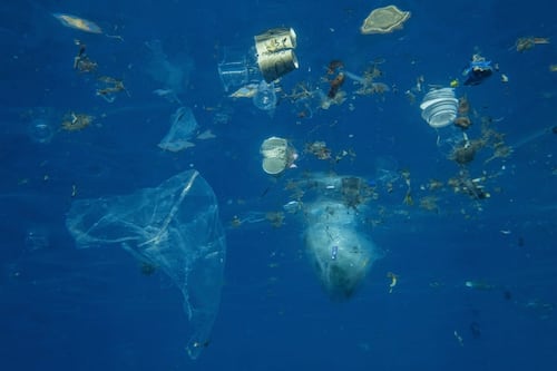 Así se ven los “parches” de microplásticos en los océanos, con datos satelitales de la NASA