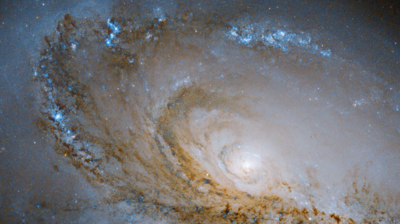 galaxia NGC 1961