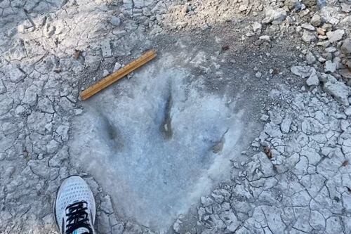 Paleontólogos no salen del asombro al hallar la misma huella de 120 millones de años en dos continentes diferentes