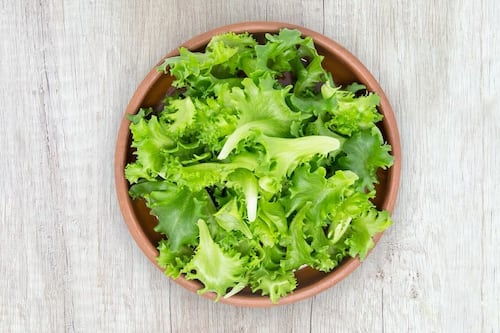 A comer verduras: Ahora puedes usar tu smartphone para cultivar una lechuga