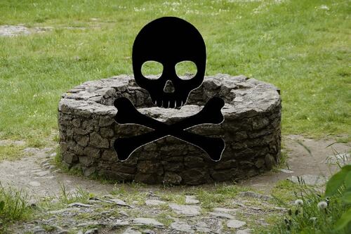 Arqueólogos noruegos identifican los restos de un hombre que fue enterrado en un pozo hace más de 800 años