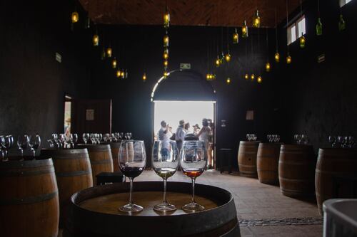 Añejo de verdad: arqueólogos encuentran en Italia los restos de una bodega que cosechaba vino hace 1.600 años