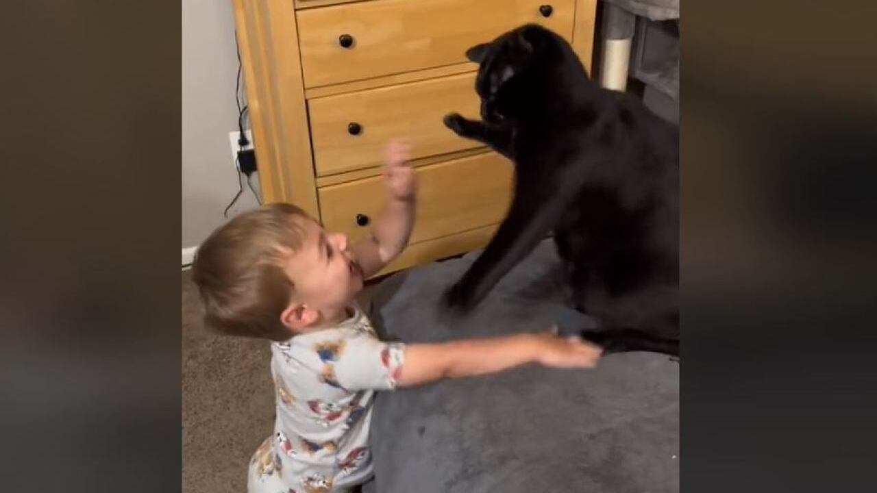 Las mascotas tienen una conexión especial con los niños