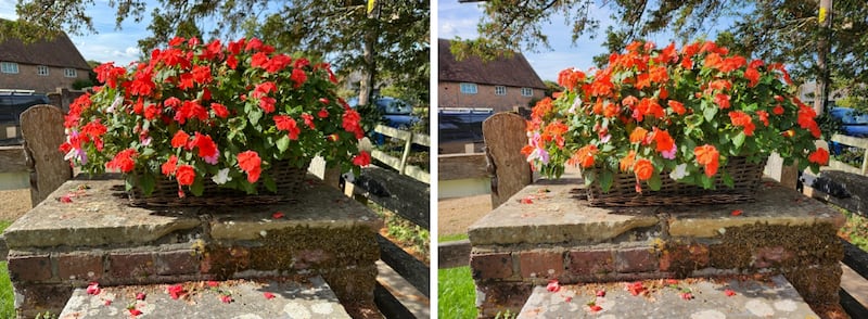 iPhone 14 Pro vs. Samsung Galaxy Z Flip 4