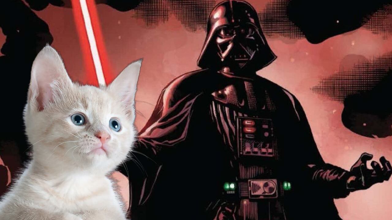 Los gatitos convertidos en personajes de Star Wars