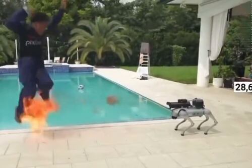 Perro “inteligente” se sale de control y quema a su entrenador con un lanzallamas