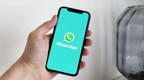 WhatsApp: Aqui está o truque para saber se seu crush está ‘online’ sem precisar acessar o app