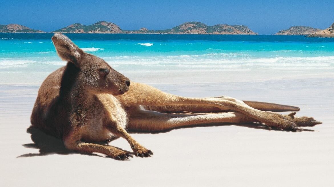 Cabo Tribulación es un sitio peculiar en Australia que parece haber generado algo de ruido en internet durante los últimos días.