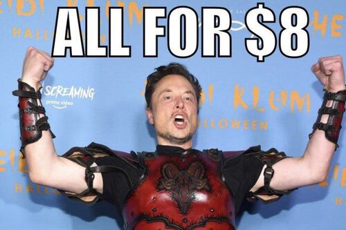 Twitter Blue ya tiene fecha oficial de relanzamiento, anunció Elon Musk: será el 29 de noviembre