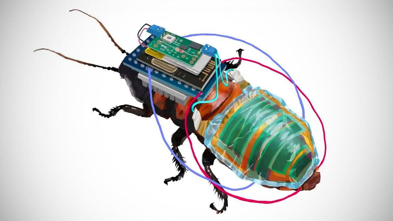 Cucarachas modificadas