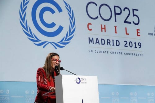 COP25: el fracaso en la cumbre para regular los mercados relacionados con el Carbono