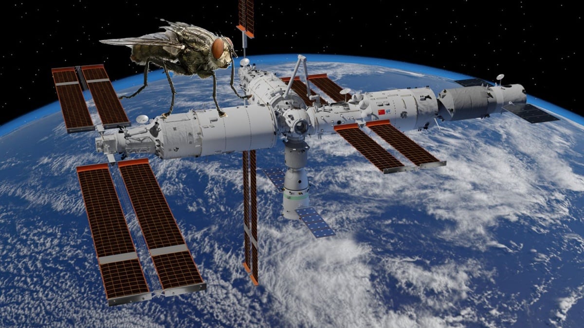 Estación Espacial Tiangong