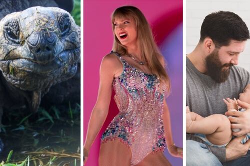 ¿Olvidaste tu autógrafo de Taylor Swift en un Uber?: Revisa los objetos más insólitos perdidos en la app