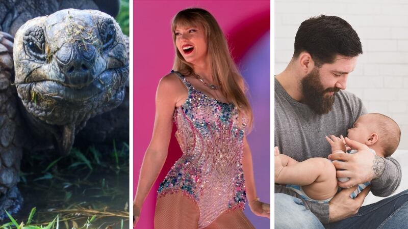 Cosas más perdidas en un Uber 2024 | Composición