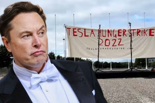 Tesla: ¿Qué daños sufren los autos por los que sus dueños se fueron a huelga de hambre en Noruega?