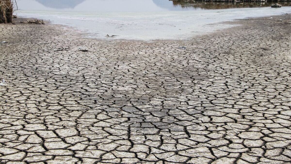 Intel y Kilimo en busca de mejor calidad de agua en México