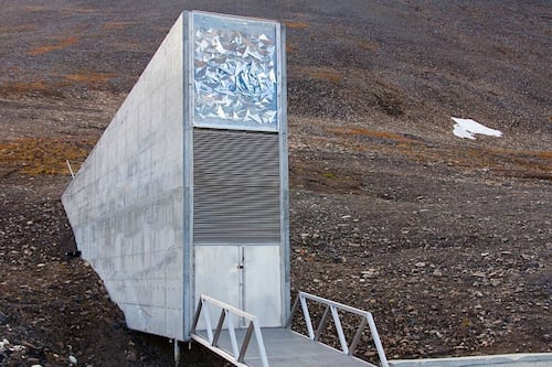 La cámara del fin del mundo: la salvación de la humanidad está enterrada en Noruega