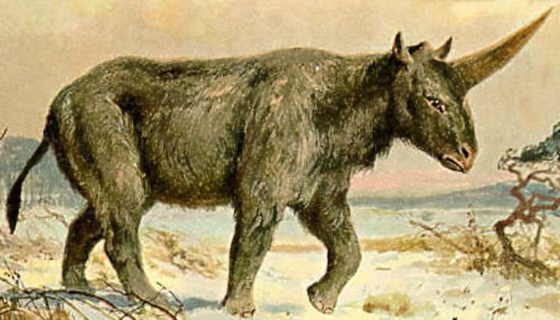 Elasmotherium sibiricum
