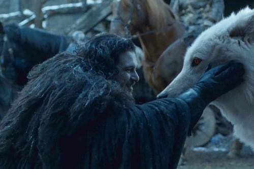 Los lobos de Game of Thrones no son los únicos: 4 especies que trabaja Colossal Bioscences para “desextinguirlas”