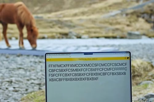 ¿Te vas de vacaciones? Puedes hacer que un caballo de Islandia responda tus correos electrónicos