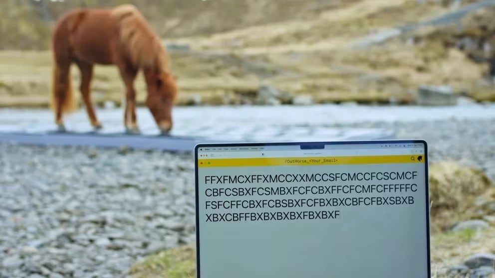 Caballo teclado (Outhorse your email)