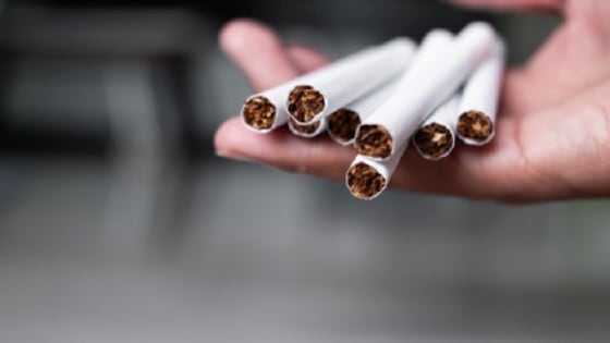 Las alternativas siempre estarán sujetas a mitos que no son reales. alternativas siempre estarán sujetas a mitos que no son reales.