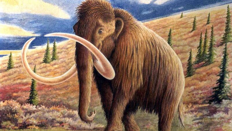 Mamut lanudo