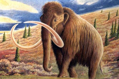 Tras el lobo terible: ¿Por qué deberíamos concentrarnos en traer de vuelta grandes hervíboros extintos?