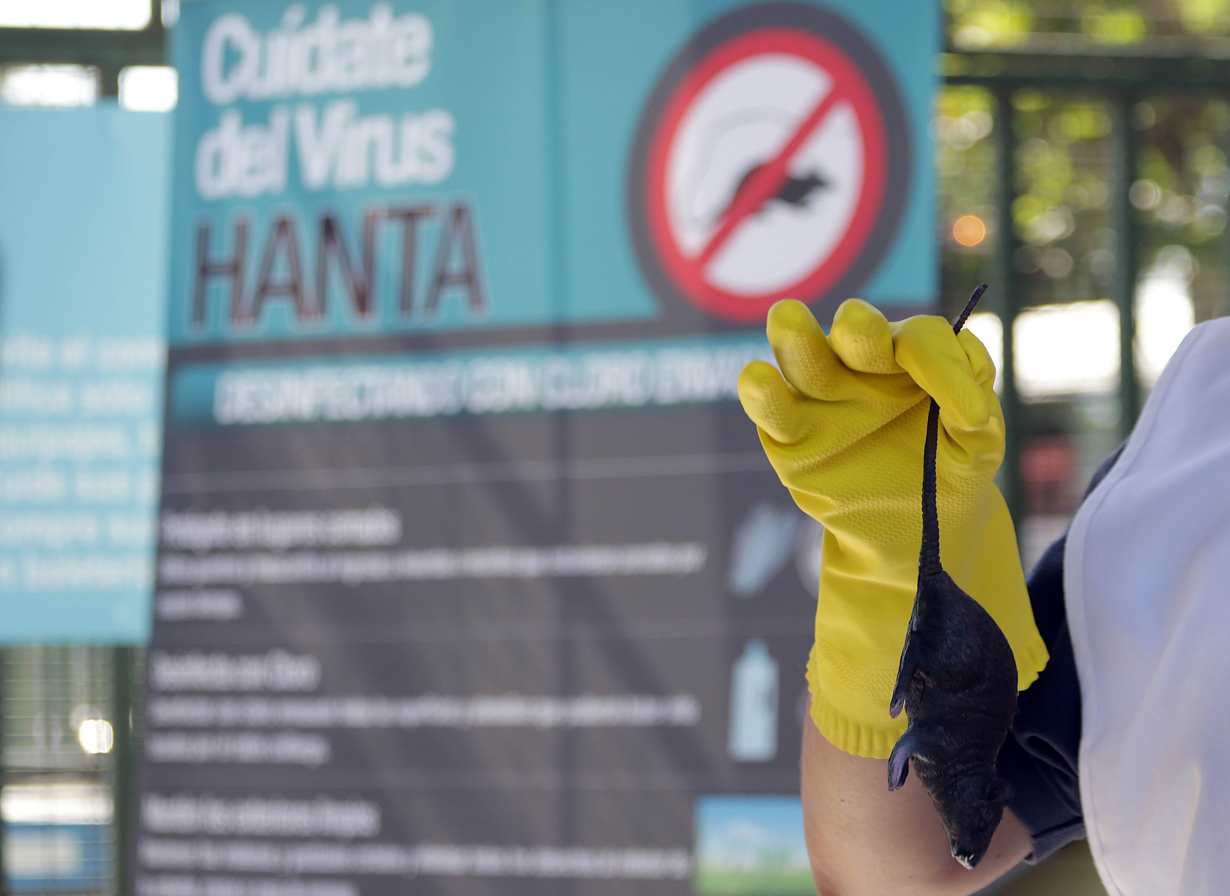 ¿El nuevo COVID? Por qué el Virus  Hanta Andes está aterrorizando a Latinoamérica este 2026