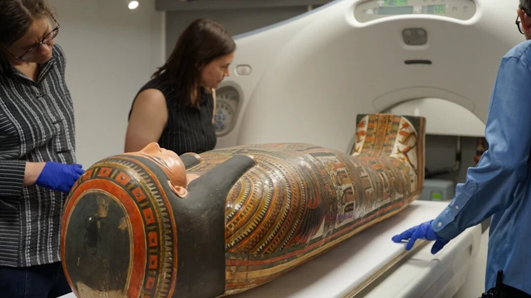 Momia de Lady Chenet-aa Museum Field