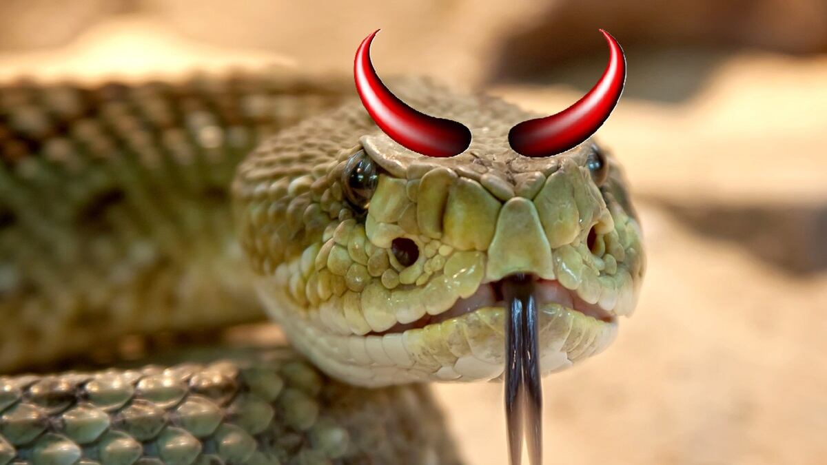 Serpiente con cuernos