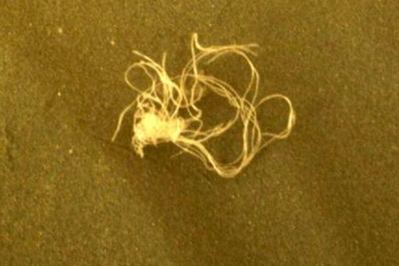 Una imagen de unos supuestos espaguetis en la superficie de Marte.