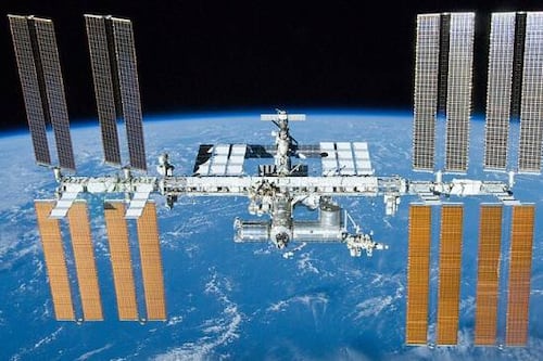 Hito espacial chileno: Investigadores locales prueban cómo reacciona la vida en gravedad cero