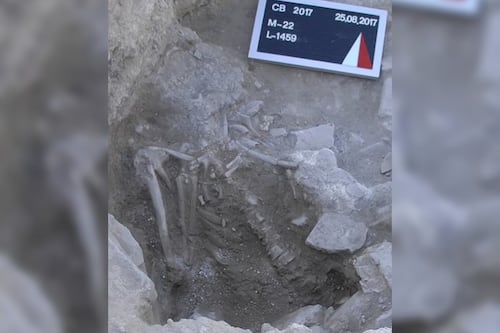 Amigos fieles hasta el final: encuentran en Turquía los esqueletos de un hombre y su perro que murieron en un tsunami hace 3.600 años